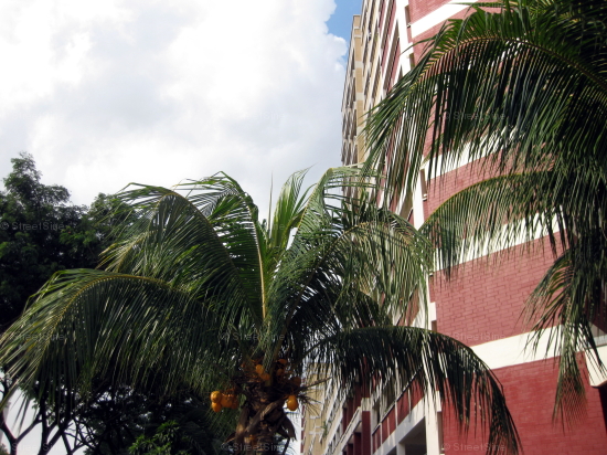 Hougang Street 51 thumbnail photo